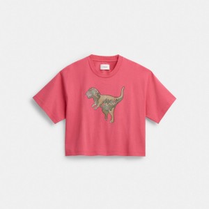 Women's COACH Rexy Cropped T Shirts Pink | 26810WUVQ