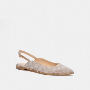 Women's COACH Vae Skimmer Flats Grey | 95218MSZF